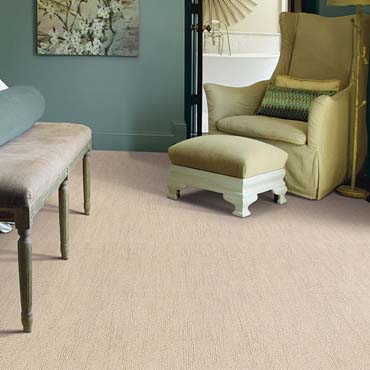 Caress Carpet by Shaw | Fort Wayne, IN 